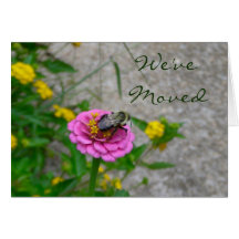 Nos hemos movido manoseamos la tarjeta de la abeja