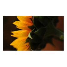 Nota dulce (girasol) tarjeta de negocio