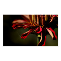 Nota dulce (zinnia) plantilla de tarjeta personal