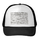 Notas musicales blancos y negros gorro