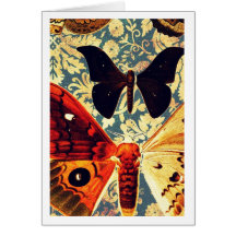 notecard 5 del arte de la mariposa felicitaciones
