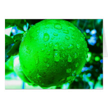 Notecard-Comida/Drink-101 Tarjeta
