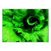 Notecard-Comida/Drink-104 Tarjeton