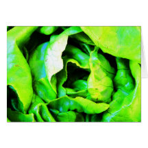 Notecard-Comida/Drink-113 Tarjeton
