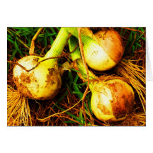 Notecard-Comida/Drink-116 Tarjetas