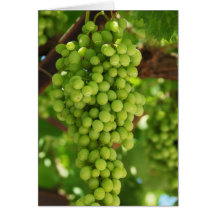 Notecard-Comida/Drink-31 Tarjetas