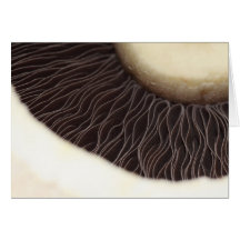 Notecard-Comida/Drink-6 Tarjeton