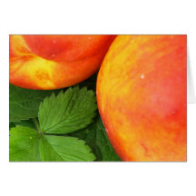 Notecard-Comida/Drink-7 Tarjeton