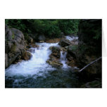 Notecard de las cascadas tarjetas