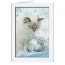 notecard del invierno del ragdoll felicitación