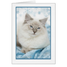 notecard del invierno del ragdoll tarjeton