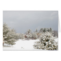notecard nevoso de la escena del invierno del lago felicitación