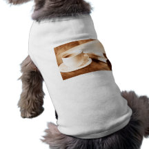 Noticias de la mañana y tono de la sepia del café ropa de perros
