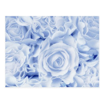 Novia hermosa en el azul, ramo color de rosa, plan postales