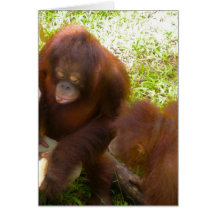 Novias del orangután tarjeta