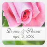 Novio color de rosa romántico rosado de la novia d pegatina cuadradas personalizada