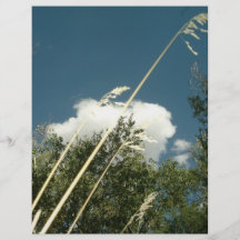 NUBES E HIERBA TARJETON