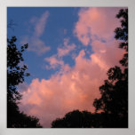 Nubes rosadas de la tarde posters
