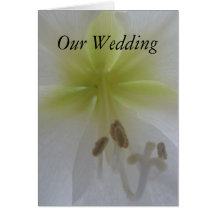 Nuestra invitación de boda tarjetas