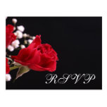 Nuestro RSVP subió boda Tarjeta Postal