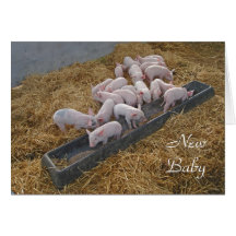 Nueva tarjeta del bebé de los cochinillos