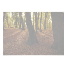 Nuevo bosque, Hampshire, Inglaterra Comunicado