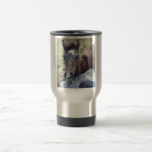 Nuevo potro taza