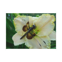 Nuevos libélula y Daylily de la impresión de la lo Lona Estirada Galerías