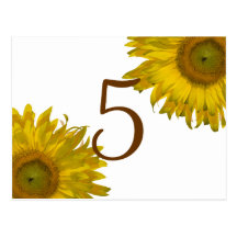 Número amarillo de la tabla del girasol postales