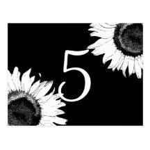 Números blancos y negros de la tabla del girasol postales