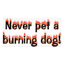 ¡Nunca acaricie un perro ardiente! Tarjetas Fotograficas