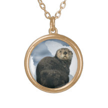 Nutria de mar en el hielo grimpola