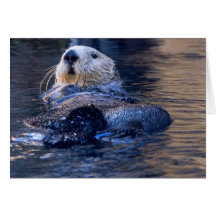 Nutria de mar felicitaciones