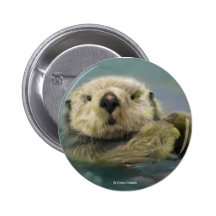 Nutria de mar pins