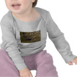 Nutria de río gigante (brasiliensis de Pxeronura) Camisetas