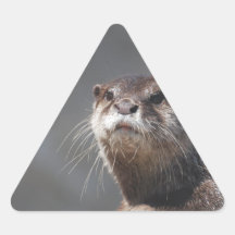Nutria de río linda calcomanías de trianguladas