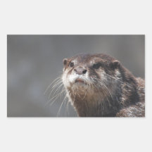 Nutria de río linda etiqueta