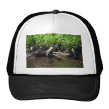Nutria-verano del río gorros bordados
