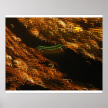 NYC en la noche Poster
