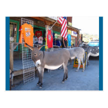 Oatman, Arizona Tarjeta Postal
