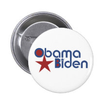 Obama Biden 2012 Pin