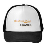 Obra clásica de Hawaii de la charca de Analani Gorro