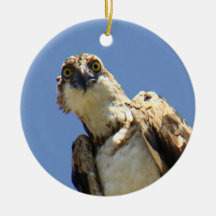 Observación de Osprey Ornamente De Reyes