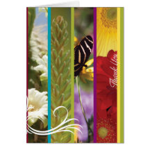 Observe Card_Thank usted Felicitación