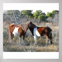 OC Assateague 11-28-2161 Impresiones