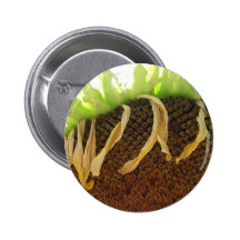 Ocaso Pin