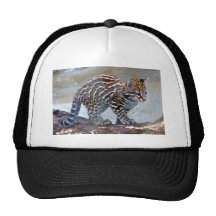 ocelot baby4x6 gorro de camionero