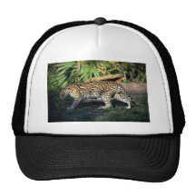 Ocelot Gorras