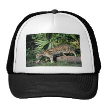 Ocelot Gorras De Camionero