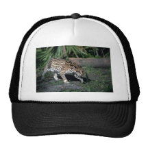 Ocelot Gorras De Camionero